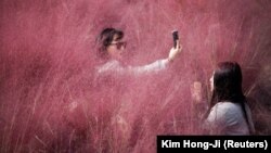 Иллюстрациялык сүрөт.