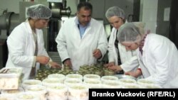 Kompanija "Alvasari" iz Aanđelovca