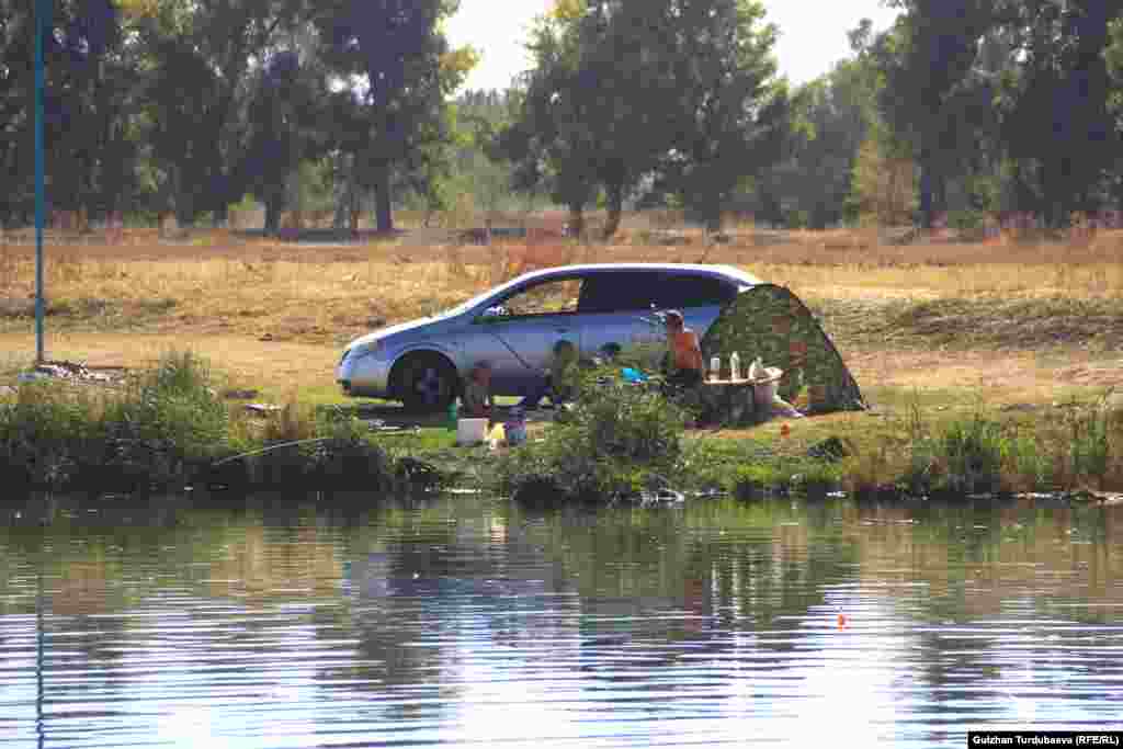 В пруду не только форель резвится, но водится и дикая рыба. За ней и приехали эти рыбаки.&nbsp; &nbsp;