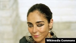 Ширин Нишот, наққоши эронии муқими Амрико