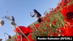 Иллюстрациялык сүрөт.