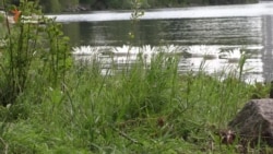 У Запоріжжі землю перетворюють на витвір мистецтва (відео)