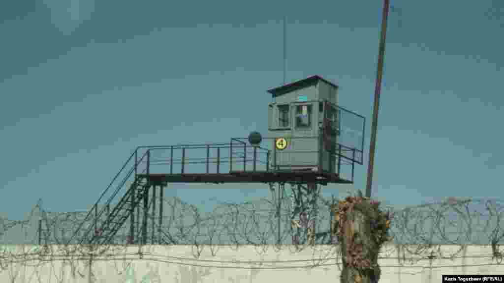 Тюремная сторожевая вышка, колючая проволока и ствол спиленного дерева - так в поселке Заречный&nbsp;снаружи выглядит одна из тюрем, которая находится недалеко от той тюрьмы, где содержится оппозиционный политик Владимир Козлов.&nbsp;