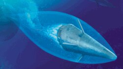 "Шквал"  суу астында учуучу ракета.