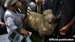 Лущихин заводунда өткөн иш-чарадан тартылган сүрөт.