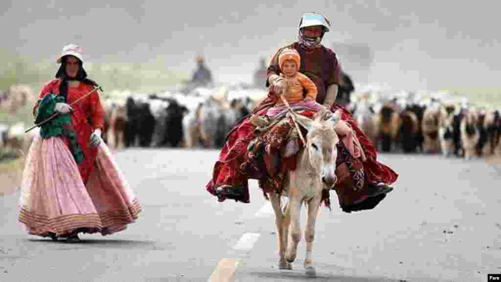 Иран. Племя кочевников в Лурестане