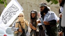 شماری از جنگجویان طالبان در افغانستان