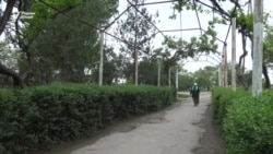 Коронавирус нону қандчойро дигарбора хӯроки тоҷикон мекунад?