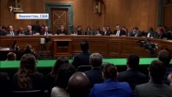 У США звучать заяви про об’єднання санкцій щодо Криму і Донбасу – Мирослава Гонгадзе