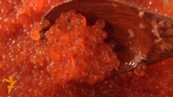 Əsl kürünü belə tanımaq olur