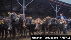 Кара-Балтадагы мал базар. Иллюстрациялык сүрөт. 