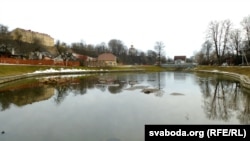 Адзін з двух стаўкоў абмялеў. Знакі бяды — намытыя вадой астраўкі — навідавоку