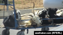 Иллюстративное фото