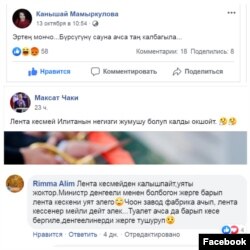 Мнения пользователей соцсетей. Скриншот с «Фейсбука».