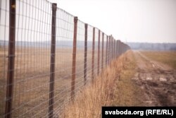 На агароджу пайшло больш за 8 тысяч пагонных мэтраў сеткі