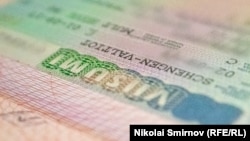 Illýustrasiýa suraty