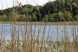 Став, через який йтиме дорога