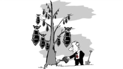 Сегодня в Америке: противоракетная фобия Москвы