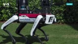 «Не гладить». Резиденцию Трампа начали охранять роботы-собаки