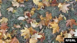 Иллюстративное фото.