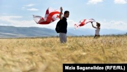 Эксперты считают недостаточными меры, проводимые грузинским государством в целях обуздания российской агрессии