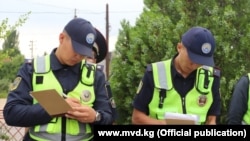 Иллюстрациялык сүрөт. 