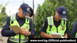 Иллюстрациялык сүрөт.