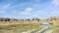 Tuhbatullin: Türkmenistanda tebigaty goramak meselesi iň soňky orunlarda durýar