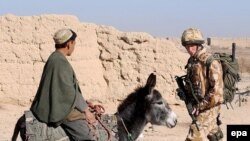 Принц (справа) и ишак. Где-то в Афганистане в начале XXI века