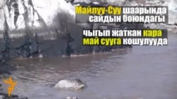 Майлуу-Суу: экология булганууда