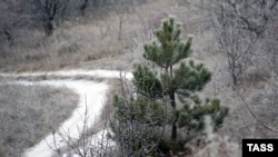 Иллюстрациялык сүрөт. 