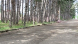 Ստեփանավանի նպաստառուների գործով պետության պատճառված 500 միլիոն դրամ վնասից 30 միլիոն դրամը վերականգնվել է