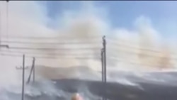 Башкортстандагы эсселек аномаль күренеш дип бәяләнә