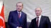 Ռուսաստանի և Թուրքիայի նախագահները Սոչիում, 13-ը նոյեմբերի, 2017թ.