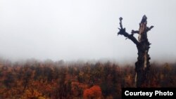 Персидская осень