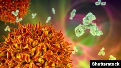 Коронавирус. Иллюстрациялык сүрөт.