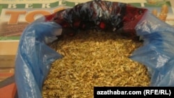 "Marynyň mahorkasy"