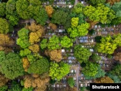 Старыя Павонзкі – гістарычныя могілкі ў цэнтры Варшавы. Выгляд зьверху