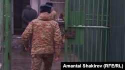 Illýustrasiýa suraty 