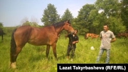 Эрмек Маматбакир уулу и Алымбек Абдрайазиз уулу.