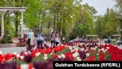 Бишкек шаары. 