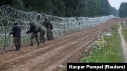 Польшанын аскерлери Номики айылынын жанында Польша менен Беларустун чек арасында. 26 -август, 2021-жыл.