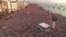 Main Erdogan Rival's Izmir Rally Attracts Largest Opposition Crowds In Years GRAB
