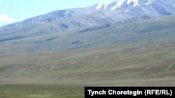 Солтон-Сарыдагы жайлоо.