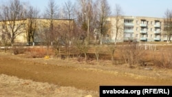 На некаторых дзялянках свае сады