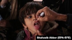 ارشیف، ماشومانو ته د پولیو واکسین د تطبیق پروسه