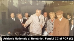 Nicolae și Elena Ceaușescu în vizită la „Combinatul Chimic Victoria” pe 30 august 1982. Vicepremier și membru în CC al PCR, Elena Ceaușescu obținuse doctoratul în chimie prin impostură. Inginerul Ioan Muntean și colegii lui din combinat munceau, în schimburi, de-adevăratelea.