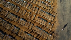 Кладбище в Манаусе (Бразилия), где захоронены жертвы COVID-19.