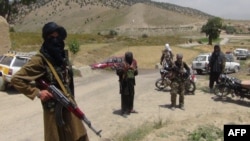 آرشیف - شماری از افراد گروه طالبان