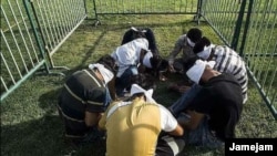 تعداد از مهاجرین افغان که در شیراز ایران در داخل قفس به نمایش گذاشته شده بودند.